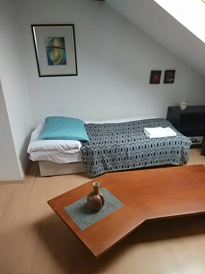 Apartment Sova اوسترافا المظهر الخارجي الصورة